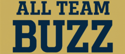 All Team Buzz Logo and Site Icon